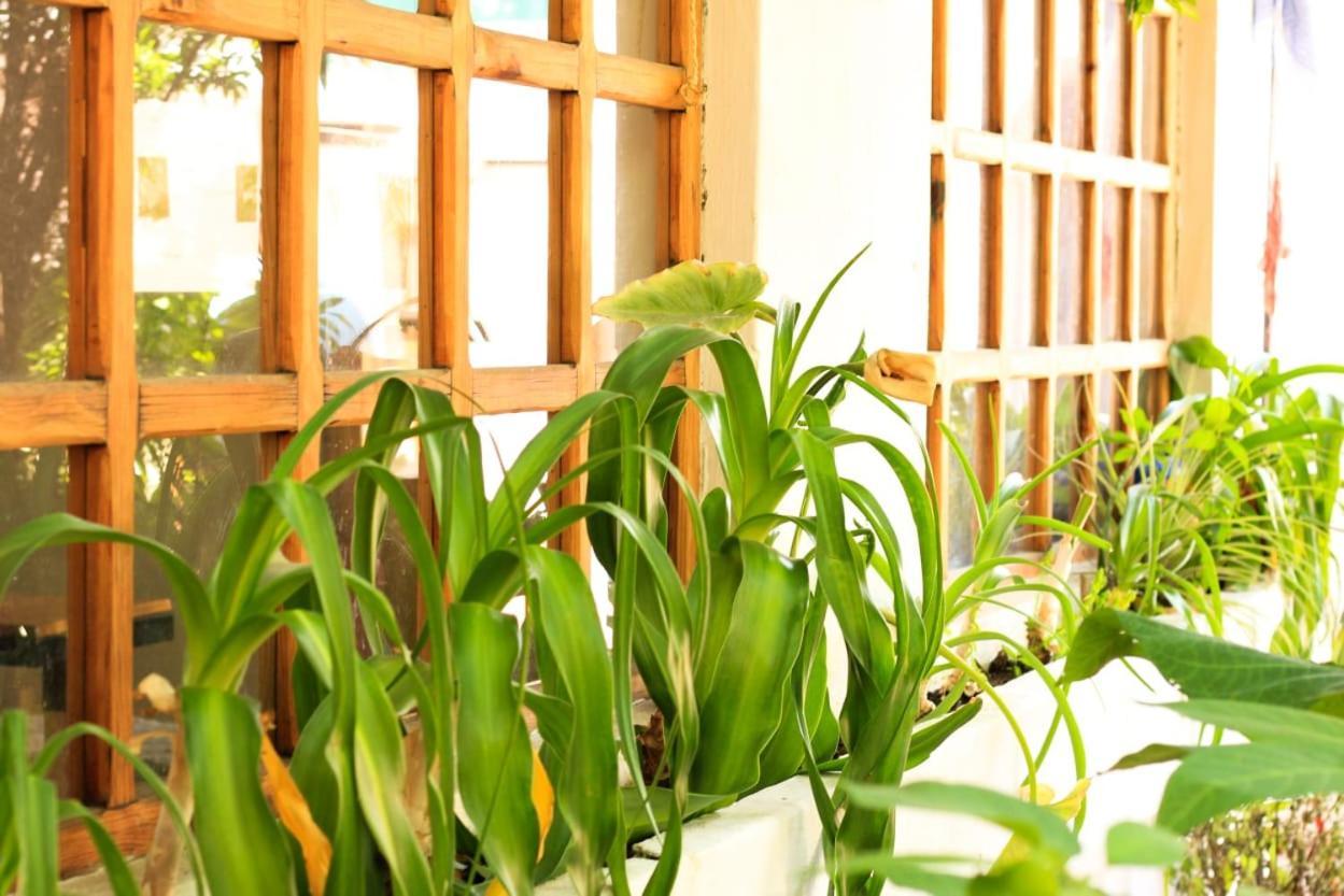 San Cristóbal de Las Casas Fandango旅舍 外观 照片