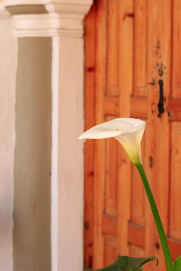San Cristóbal de Las Casas Fandango旅舍 外观 照片